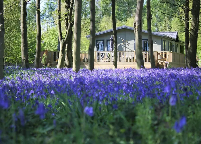 Hollicarrs - Woodland Lodge York