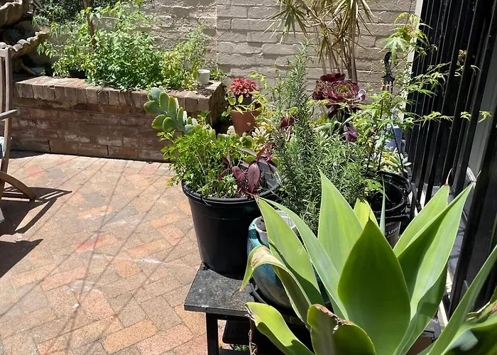 Updated Newtown Terrace Sydney