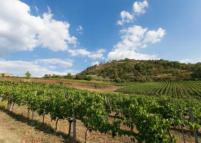 Villa Rosano Greve in Chianti