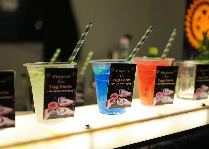 Luxury Farmhouse In Chhatarpur With Pool New Delhi