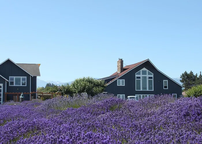 Dungeness Barn House Bed And Breakfast At Two Crows Farm Sequim