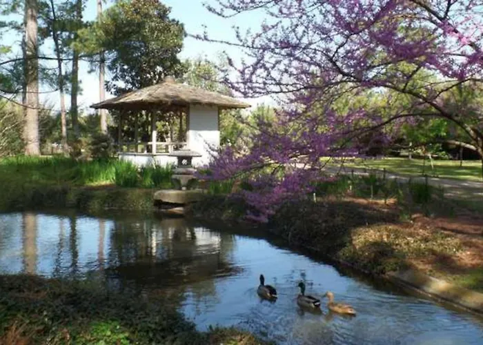 Midcentury Modern Longterm, Med Center Pool Wd Villa Houston