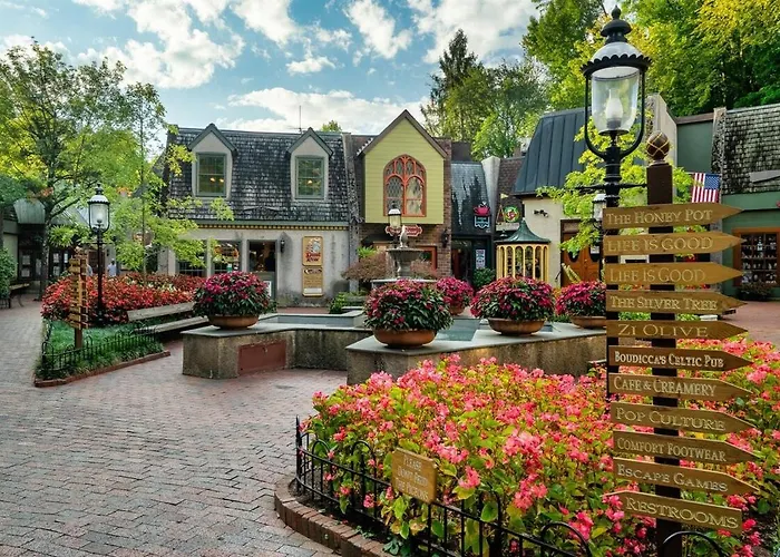 Papa Bear Lodge Sevierville