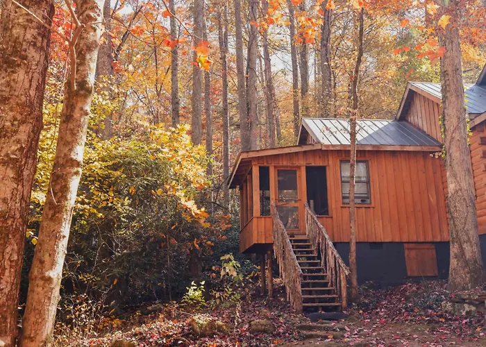 Multiple Cabins At Cabin Fever Saluda