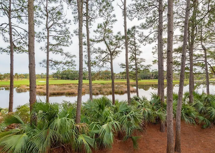 508 Bufflehead Drive By Akers Ellis Rentals Kiawah Island