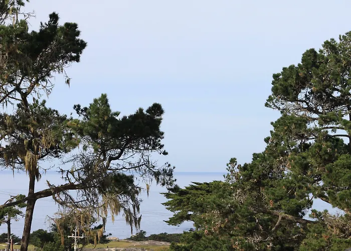 The Olympia Lodge Pacific Grove