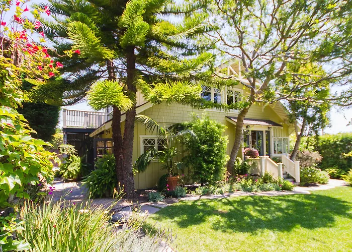 Arabella Laguna Laguna Beach