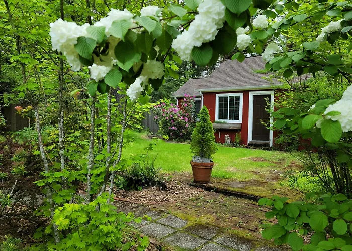 Moon Mountain Lodging Packwood