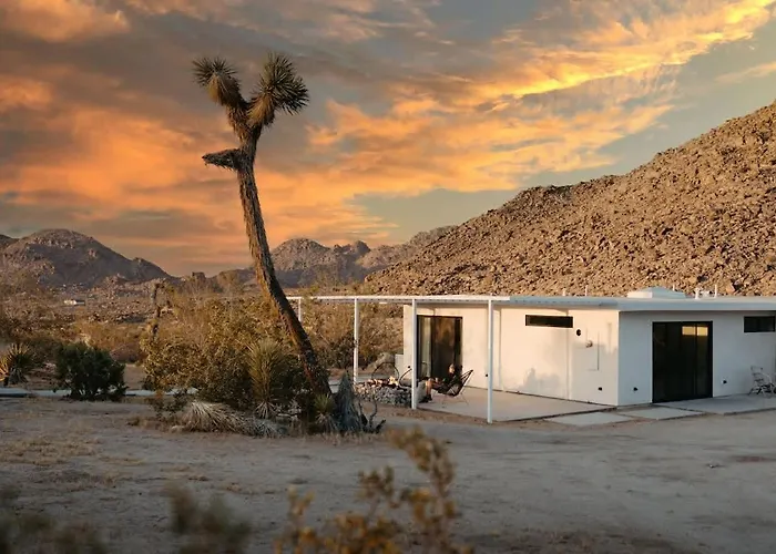 Zebra Shadow By The Cohost Company Villa Joshua Tree
