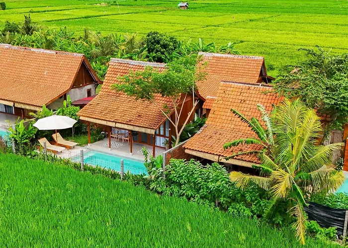 Rumah Tengah Sawah Bali Ubud 