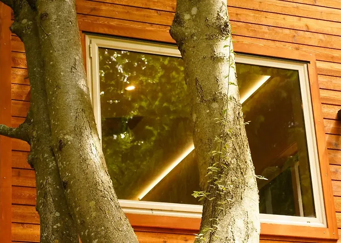 Ora Retreat Villa Queenstown