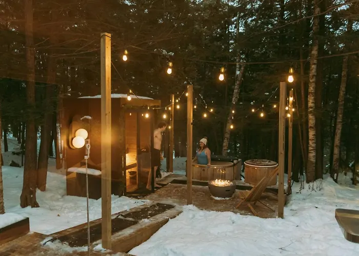 Aux Box Muskoka Modern Muskoka Bunkie Villa Huntsville