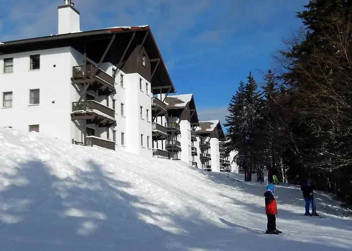 Whistlepunk 45- Modern Comfort With Mountain Charm-1 Bedroom Snowshoe