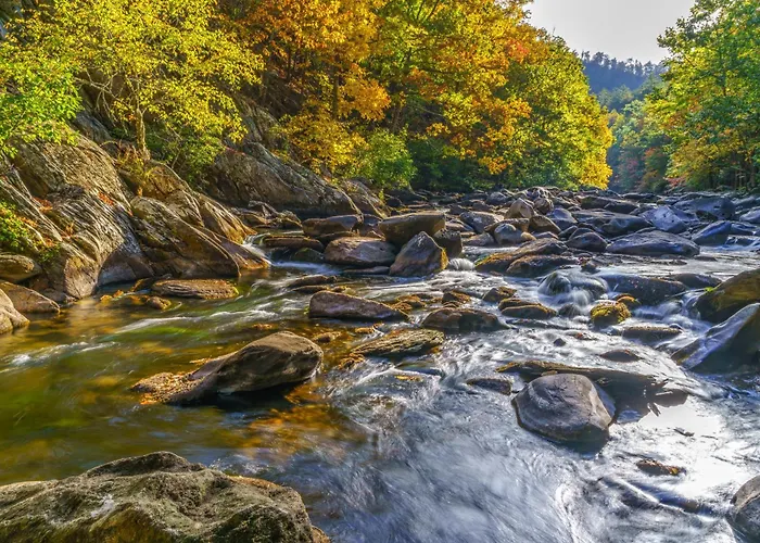 Pine Tree Lodge Gatlinburg