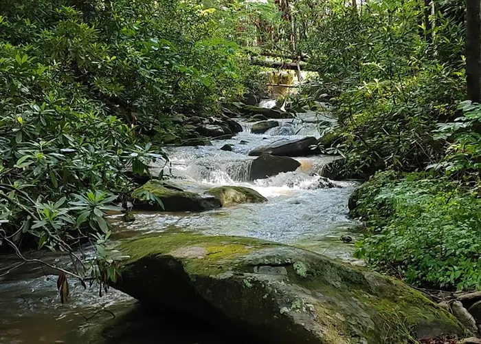 Falling Waters At Rumbling Bald Lake Lure