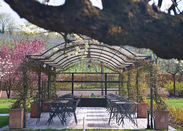 Tenuta Barac Alba 
