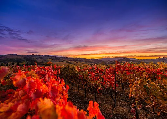 Agriturismo Il Segreto Di Pietrafitta San Gimignano