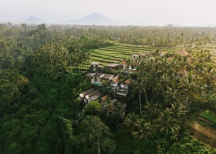 Magical Jungle Resort Ubud 