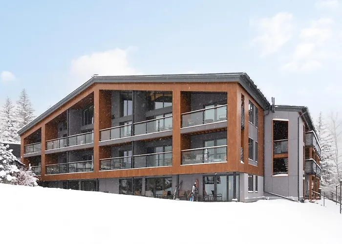 Timberline Condominiums Studio Deluxe Unit 116 Snowmass Village