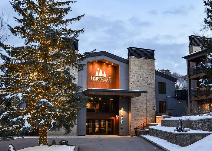 Timberline Condominiums Studio Deluxe Unit 116 Snowmass Village