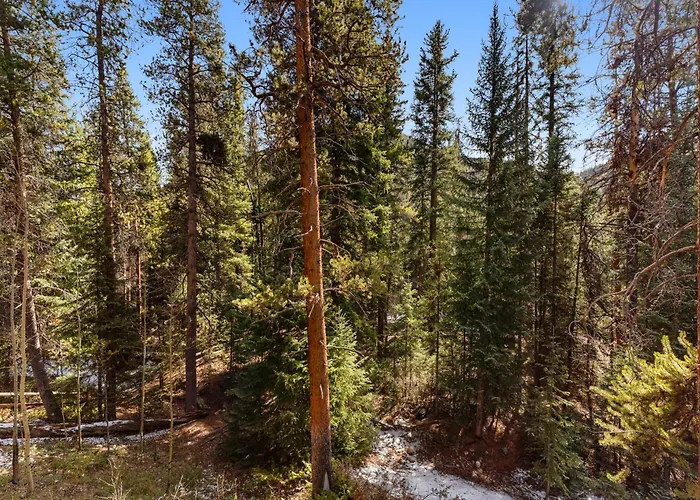 Trappers Crossing #8768 : 2 Villa Keystone