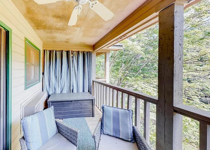 Apple Valley Treetop Villa Lake Lure