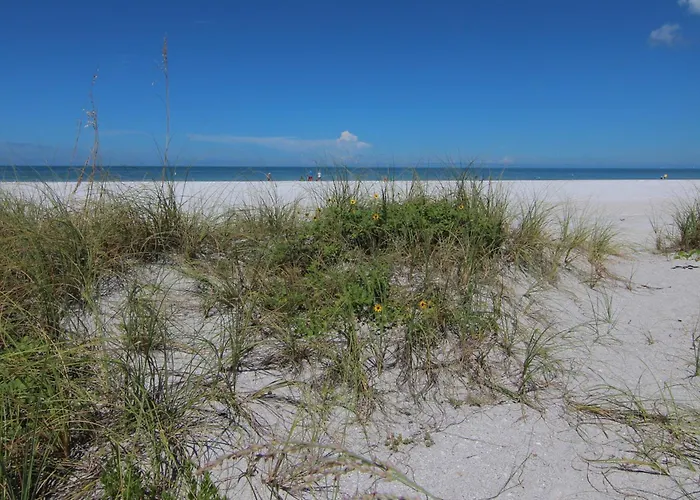 Belleair Beach Club 312 Clearwater Beach