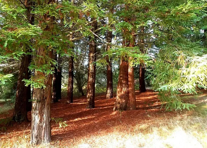 Sweet Sonoma Spyglass With Sauna Sebastopol
