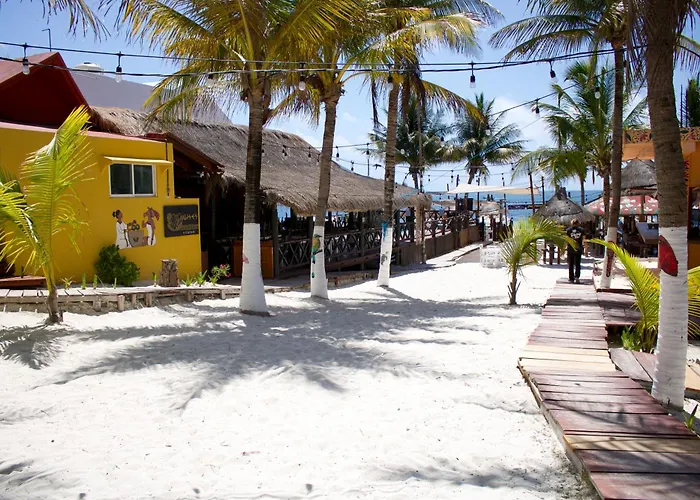 The Diving Lodge Downtown Puerto Morelos