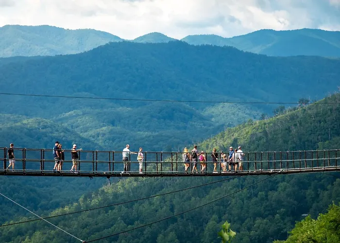 Family Ties Lodge Gatlinburg