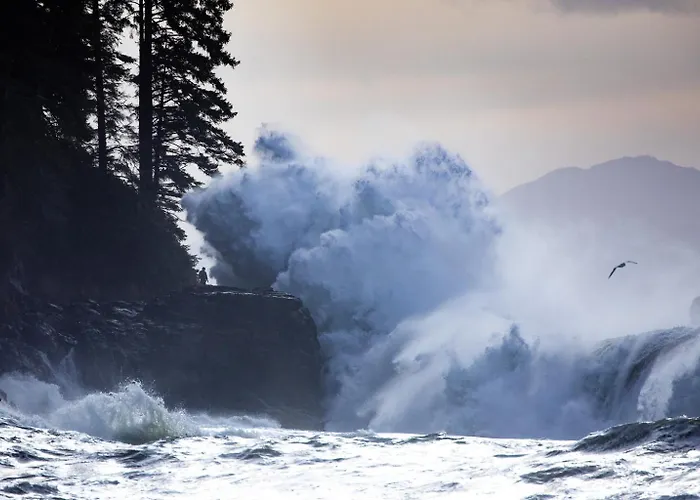The Great Escape - Shirley & Bunkhouse Villa Sooke