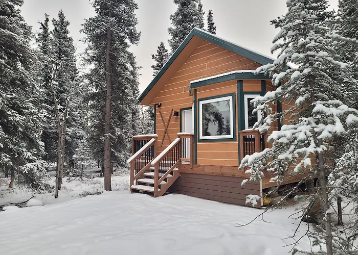 Denali Wild Stay - Redfox Cabin, Free Wifi, Private, Sleep 6 Healy