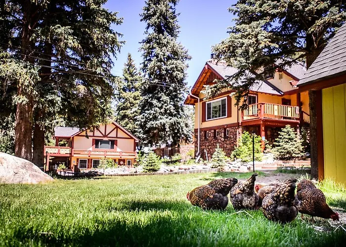 Alpen Way Chalet Mountain Lodge Evergreen