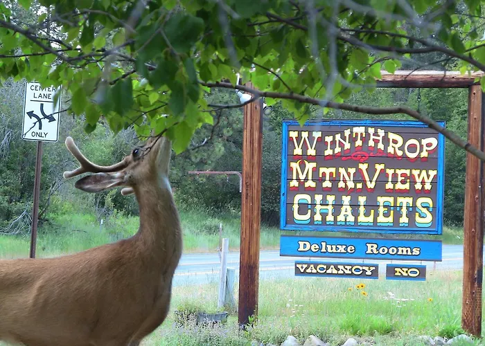 Winthrop Mountain View Chalets