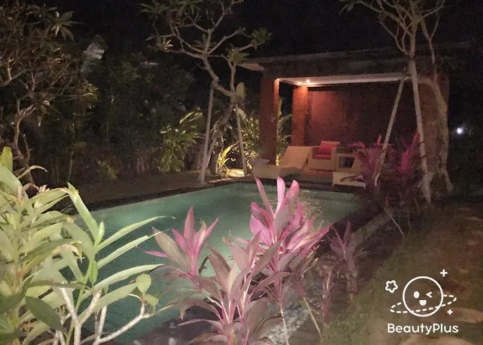 Mahesa Villa Ubud 