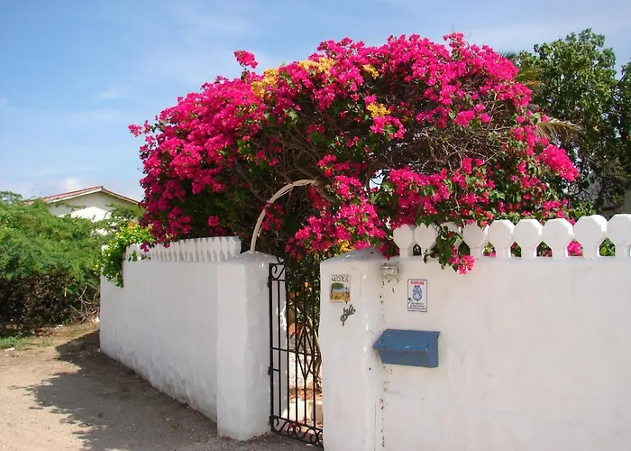 Villa Bougainvillea Aruba, The Tango Suite Palm Beach