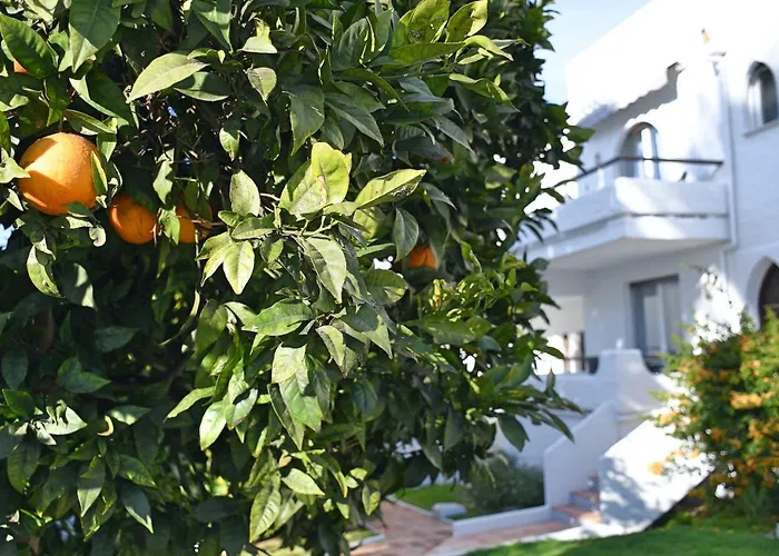 Yellow Jasper - Gemstone Getaway Marbella