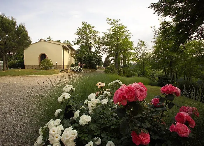 Il Rosolaccio San Gimignano